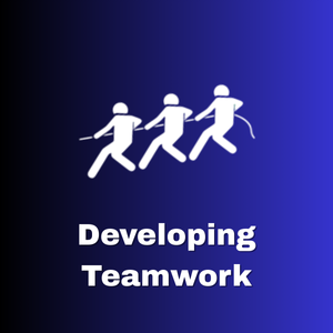 Developing Teamwork