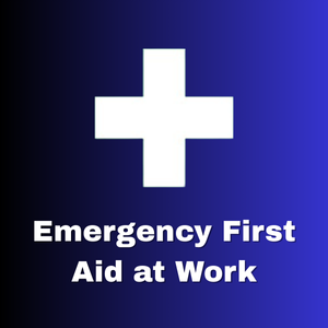 Emergency First Aid at Work Online Annual Refresher