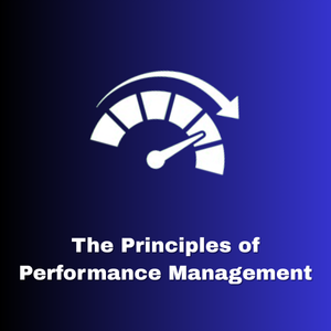 The Principles of Performance Management